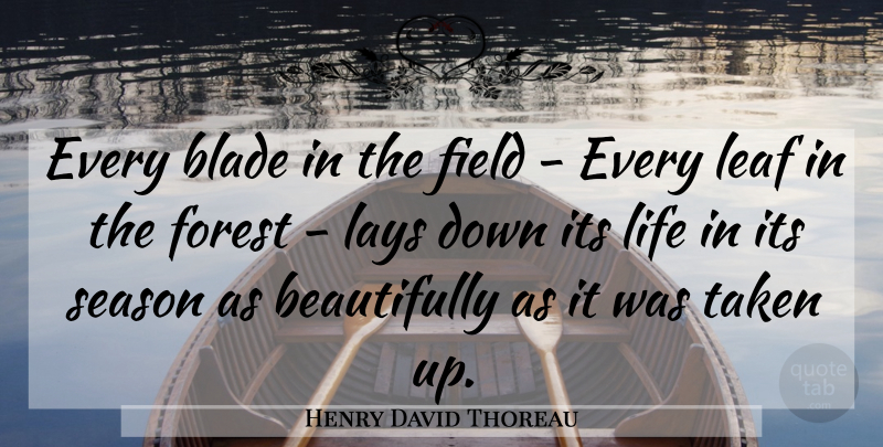 Henry David Thoreau Quote About Taken, Condolences, Eulogy: Every Blade In The Field...