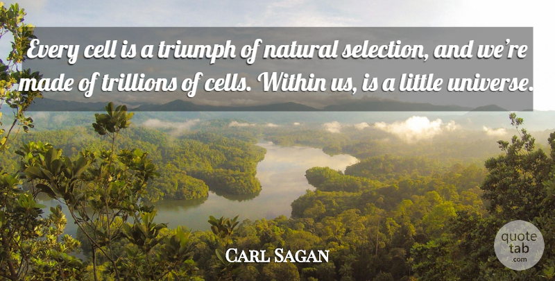Carl Sagan Quote About Cells, Littles, Triumph: Every Cell Is A Triumph...
