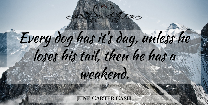 June Carter Cash Quote About Funny, Dog, Tails: Every Dog Has Its Day...