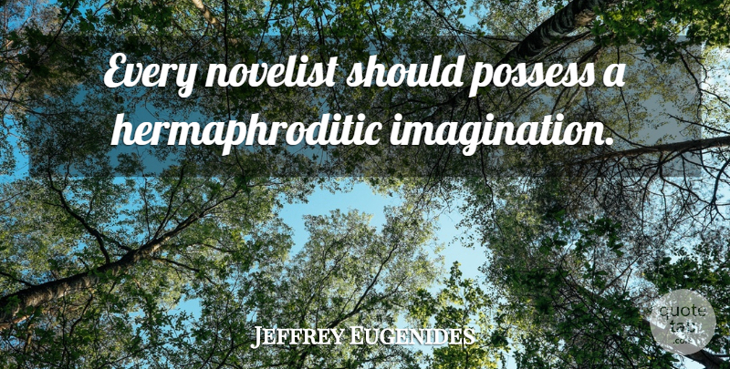Jeffrey Eugenides Quote About Imagination, Novelists, Should: Every Novelist Should Possess A...