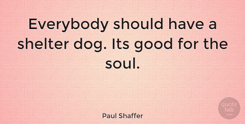Paul Shaffer Quote About Dog, Should Have, Soul: Everybody Should Have A Shelter...