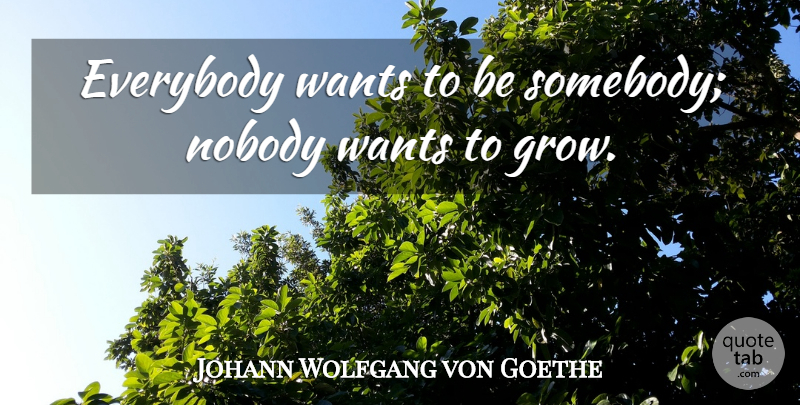 Johann Wolfgang von Goethe Quote About Inspirational, Change, Clever: Everybody Wants To Be Somebody...