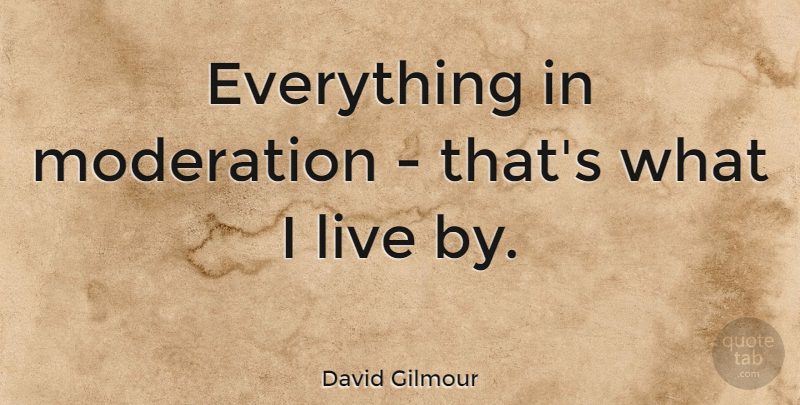 David Gilmour Quote About undefined: Everything In Moderation Thats What...