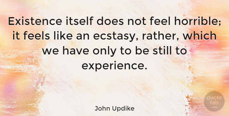 John Updike Quote About Life, Experience, Literature: Existence Itself Does Not Feel...