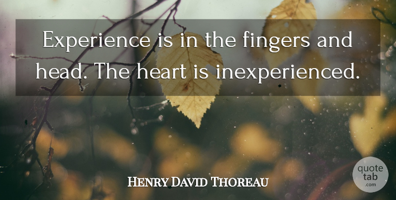Henry David Thoreau Quote About Friendship, Heart, Experience: Experience Is In The Fingers...