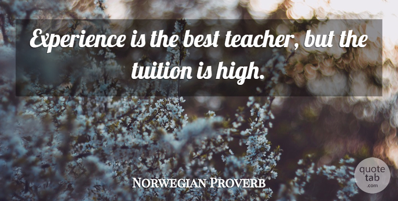 Norwegian Proverb Quote About Best, Experience, Learning, Tuition: Experience Is The Best Teacher...