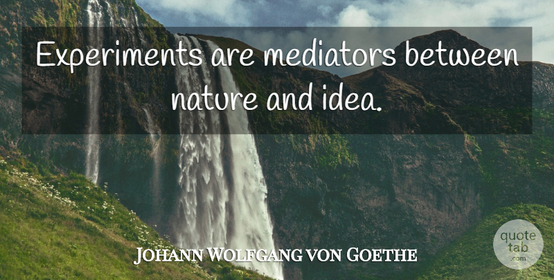 Johann Wolfgang von Goethe Quote About Science, Technology, Ideas: Experiments Are Mediators Between Nature...
