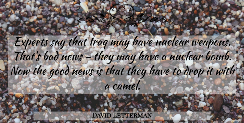 David Letterman Quote About Funny, Sarcastic, Iraq: Experts Say That Iraq May...