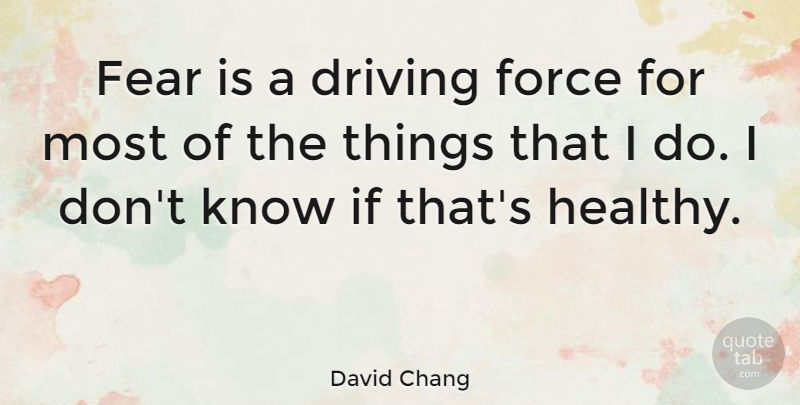David Chang Quote About Fear, Force: Fear Is A Driving Force...
