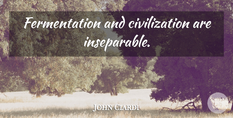 John Ciardi Quote About Civilization, Alcohol, Inseparable: Fermentation And Civilization Are Inseparable...