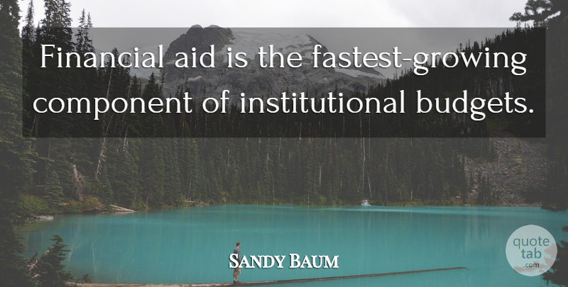 Sandy Baum Quote About Aid, Budgets, Component, Financial: Financial Aid Is The Fastest...
