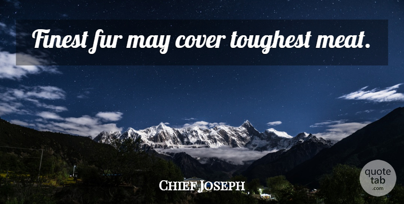 Chief Joseph Quote About May, Meat, Fur: Finest Fur May Cover Toughest...