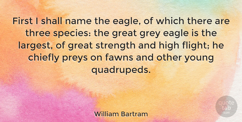 William Bartram Quote About Chiefly, Great, Grey, High, Name: First I Shall Name The...