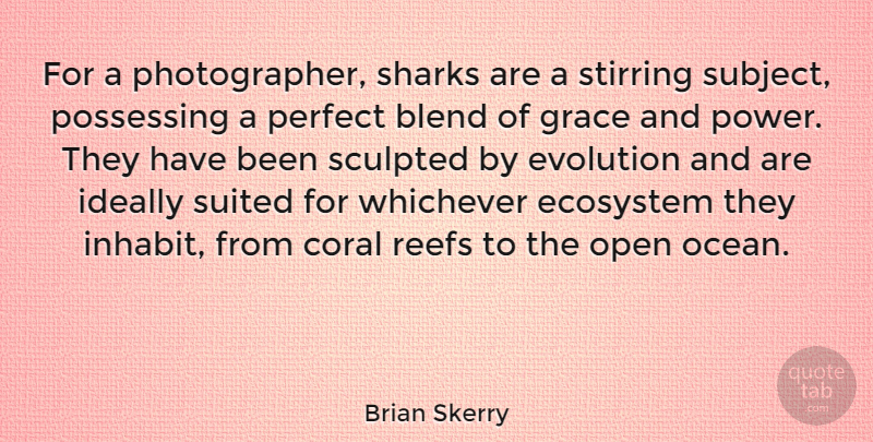 Brian Skerry Quote About Blend, Coral, Ecosystem, Evolution, Ideally: For A Photographer Sharks Are...