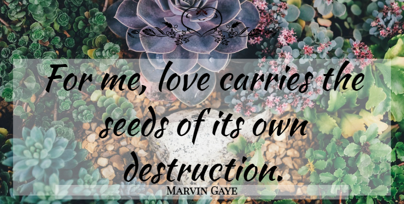 Marvin Gaye Quote About Destruction, Plutocracy, Carrie: For Me Love Carries The...
