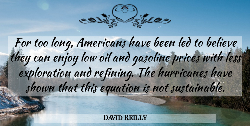 David Reilly Quote About Believe, Enjoy, Equation, Gasoline, Led: For Too Long Americans Have...