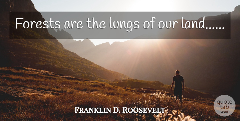 Franklin D. Roosevelt Quote About Land, Earth Day, Tree: Forests Are The Lungs Of...