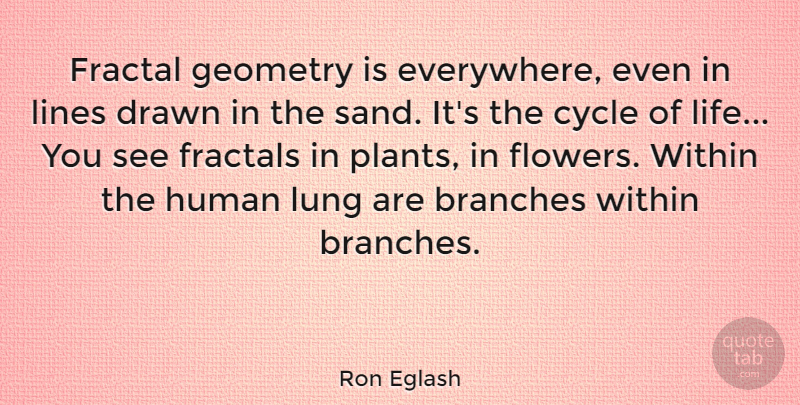 Ron Eglash Quote About Branches, Cycle, Drawn, Geometry, Human: Fractal Geometry Is Everywhere Even...