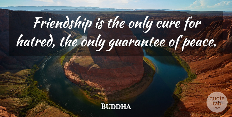 Buddha Quote About Advice, Cure, Friendship, Guarantee: Friendship Is The Only Cure...