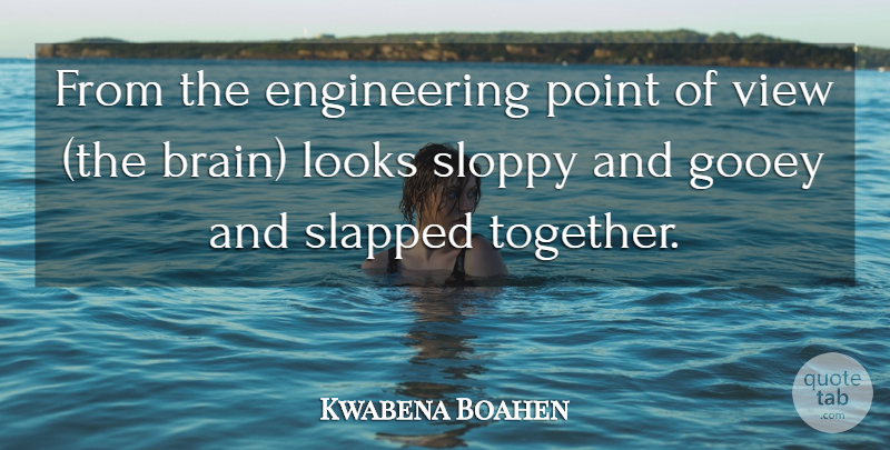 Kwabena Boahen Quote About Looks, Point, Sloppy, View: From The Engineering Point Of...