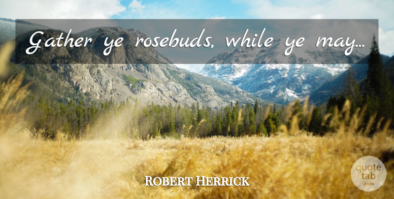 Robert Herrick Quote About May, Rosebuds: Gather Ye Rosebuds While Ye...