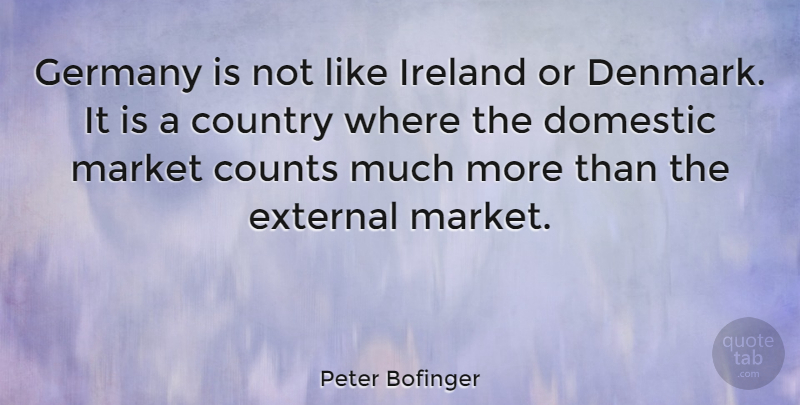 Peter Bofinger Quote About Country, Counts, Domestic, External: Germany Is Not Like Ireland...