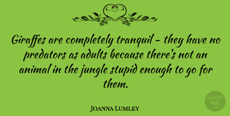 Joanna Lumley Quote About Giraffes, Jungle, Predators, Tranquil: Giraffes Are Completely Tranquil They...