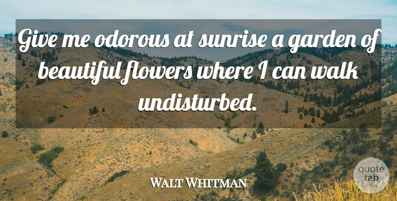 Walt Whitman Quote About Beautiful, Flower, Sunshine: Give Me Odorous At Sunrise...