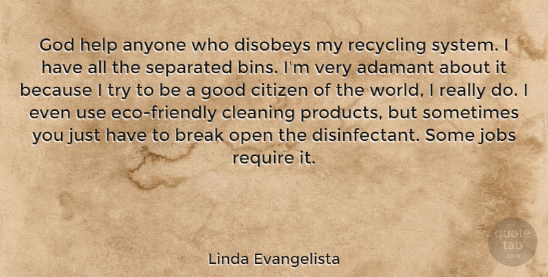 Linda Evangelista Quote About Jobs, Trying, Friendly: God Help Anyone Who Disobeys...