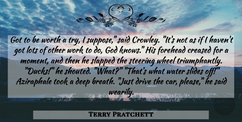 Terry Pratchett Quote About Ducks, Water, Car: Got To Be Worth A...