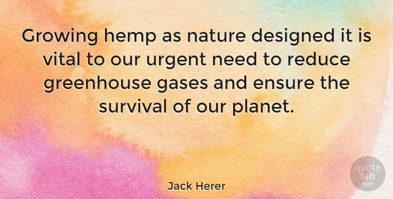 Jack Herer Quote About Survival, Needs, Growing: Growing Hemp As Nature Designed...