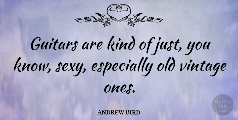 Andrew Bird Quote About Sexy, Vintage, Guitar: Guitars Are Kind Of Just...
