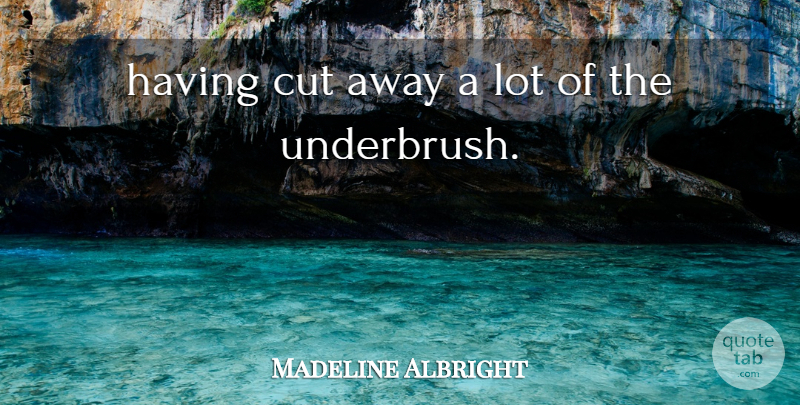 Madeline Albright Quote About Cut: Having Cut Away A Lot...