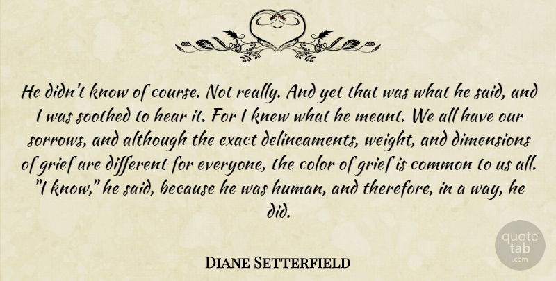 Diane Setterfield Quote About Grief, Color, Sorrow: He Didnt Know Of Course...