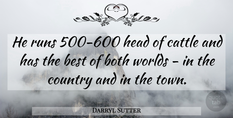Darryl Sutter Quote About Best, Both, Cattle, Country, Head: He Runs 500 600 Head...