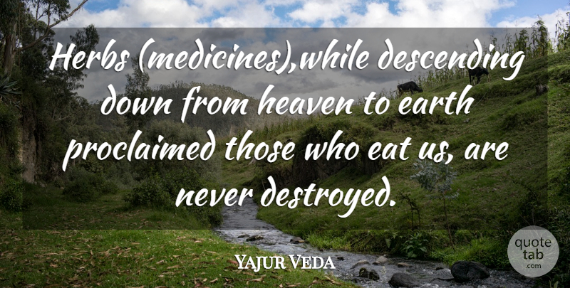 Yajur Veda Quote About Descending, Earth, Eat, Heaven, Herbs: Herbs Medicines While Descending Down...