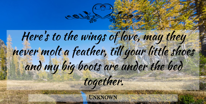 Unknown Quote About Bed, Boots, Shoes, Till, Wings: Heres To The Wings Of...