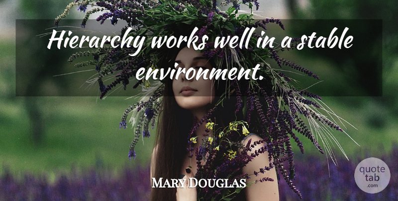 Mary Douglas Quote About Hierarchy, Environment, Wells: Hierarchy Works Well In A...