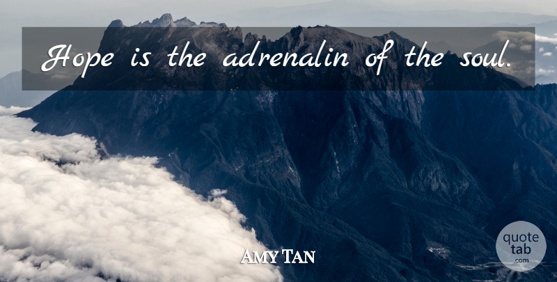 Amy Tan Quote About Hope, Expectations, Soul: Hope Is The Adrenalin Of...