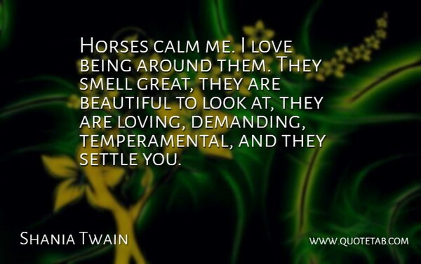 Shania Twain Quote About Beautiful, Horse, Love Is: Horses Calm Me I Love...