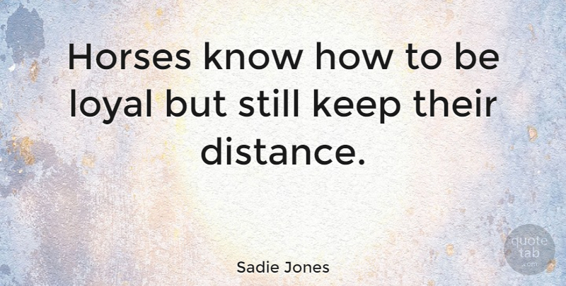 Sadie Jones Quote About Horse, Distance, Loyal: Horses Know How To Be...