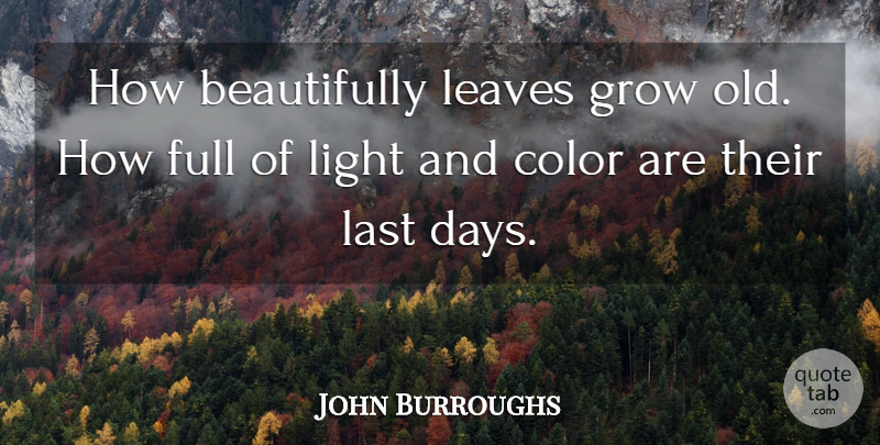 John Burroughs Quote About Age And Aging, American Comedian, Color, Full, Grow: How Beautifully Leaves Grow Old...