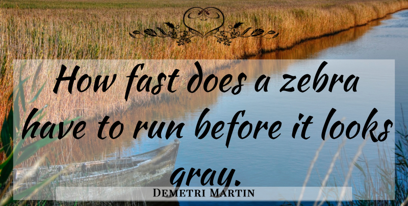 Demetri Martin Quote About Running, Zebras, Doe: How Fast Does A Zebra...