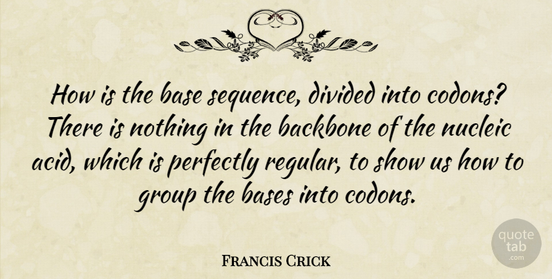 Francis Crick Quote About Acid, Groups, Backbone: How Is The Base Sequence...