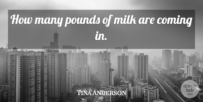 Tina Anderson Quote About Coming, Milk, Pounds: How Many Pounds Of Milk...