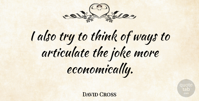 David Cross Quote About Funny, Humor, Thinking: I Also Try To Think...
