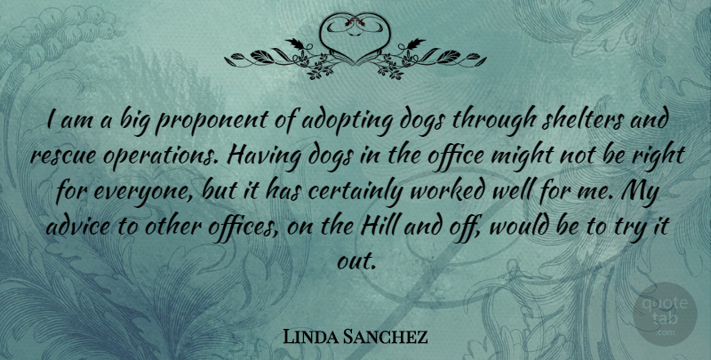 Linda Sanchez Quote About Adopting, Advice, Certainly, Dogs, Hill: I Am A Big Proponent...