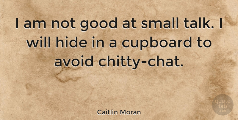 Caitlin Moran Quote About Cupboards, Small Talk: I Am Not Good At...