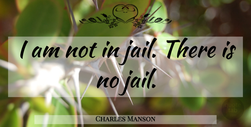 Charles Manson Quote About Jail: I Am Not In Jail...