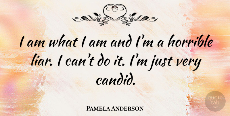 Pamela Anderson Quote About Liars, Lying, Reality: I Am What I Am...